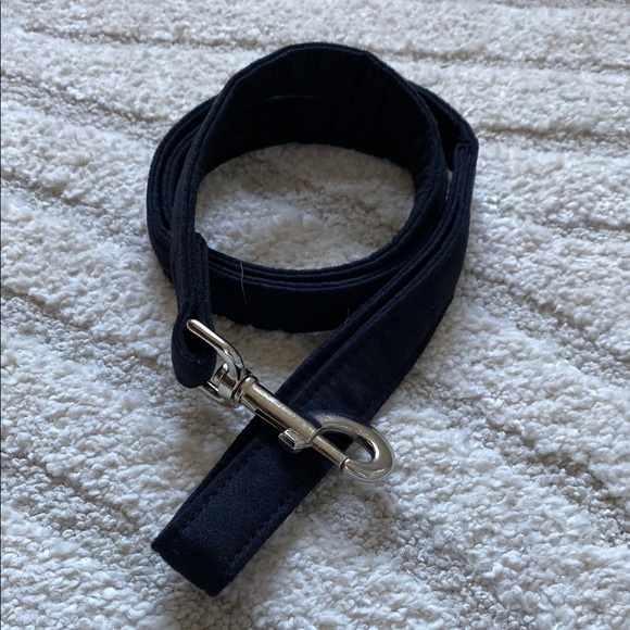 Black Velvet Dog Leash - Picture 1 of 4